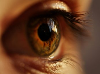 yellow and gray eyeball
