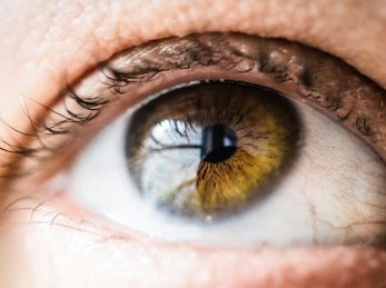 human eye