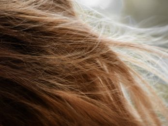 brown hair on white textile